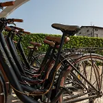 Corte Degli Dei Bed and Breakfast Λούκα