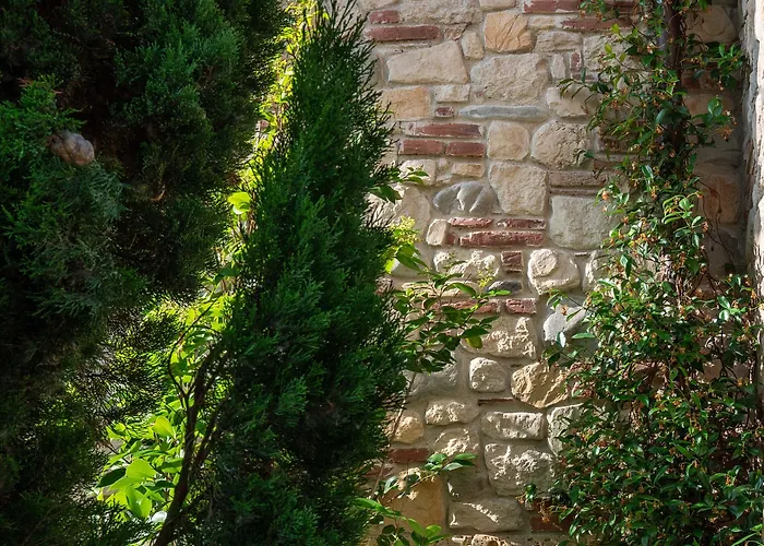 Corte Degli Dei